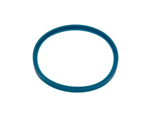 Blaue Lippendichtung von Bosch in Form eines O-Rings, auf einem weißen Hintergrund, ohne weitere Markierungen oder Beschriftungen sichtbar.
